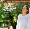 Coconut Oil – MCT