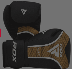 BOXING GLOVE AURA PLUS T 17 BLACK GOLDEN (size: 10oz)